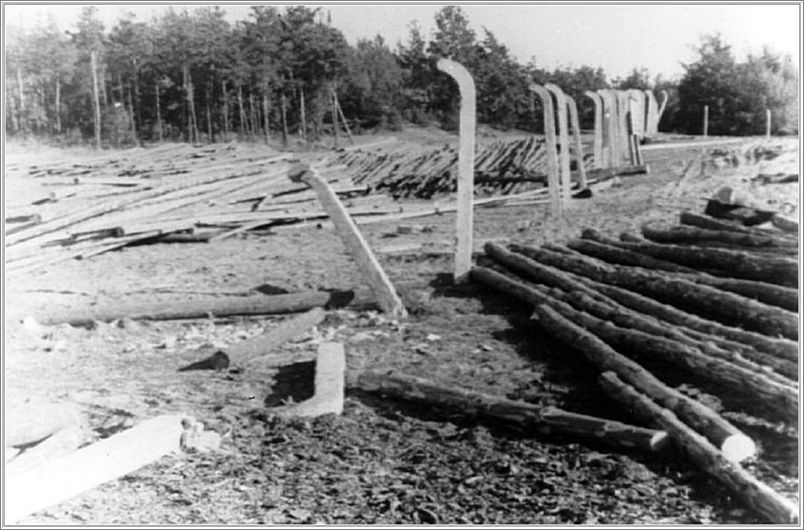 Fence posts and logs at Belzec